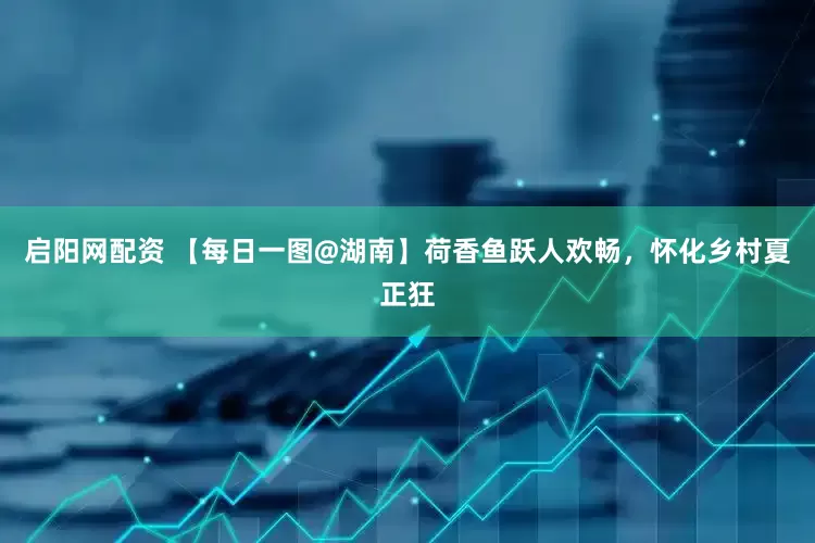 启阳网配资 【每日一图@湖南】荷香鱼跃人欢畅，怀化乡村夏正狂