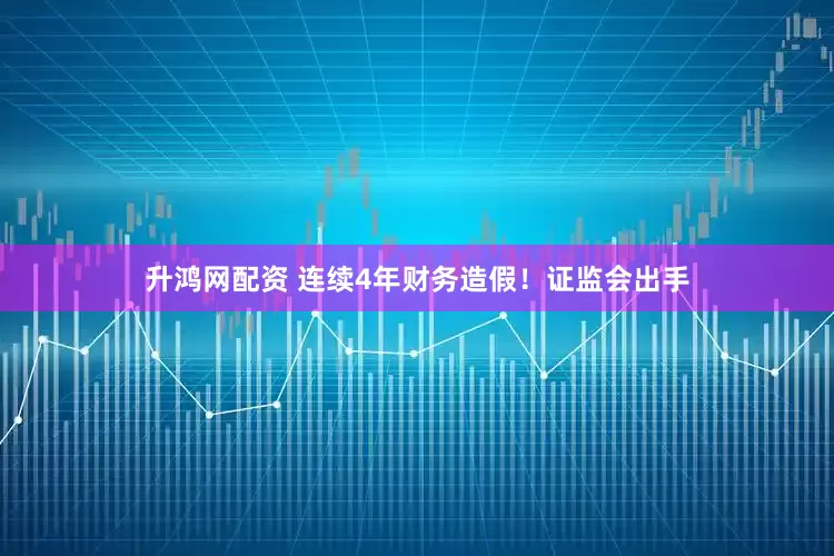 升鸿网配资 连续4年财务造假！证监会出手